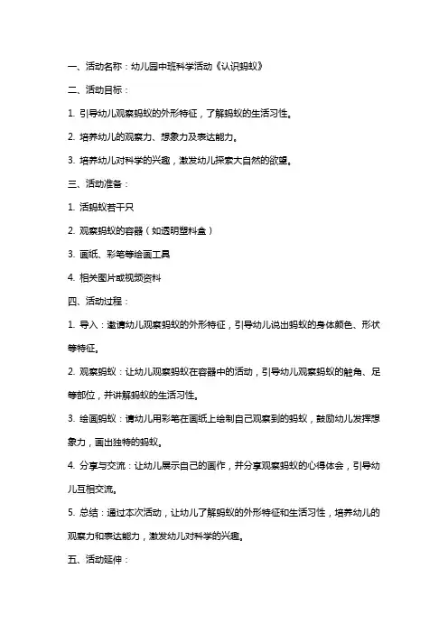 幼儿园中班科学活动《认识蚂蚁》教案