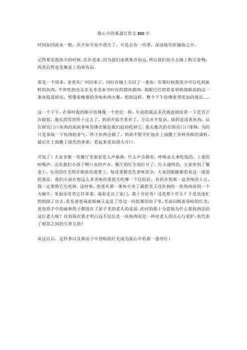 我心中的那盏灯作文800字(优秀作文)