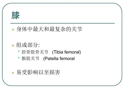 膝关节解剖ppt课件