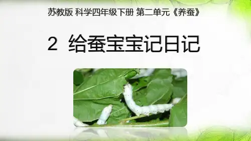 小学科学  给蚕宝宝记日记  PPT课件