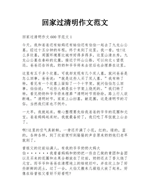 回家过清明作文范文