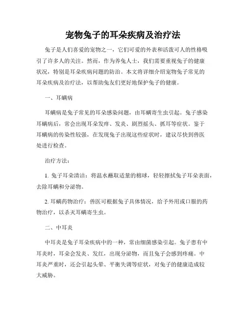 宠物兔子的耳朵疾病及治疗法