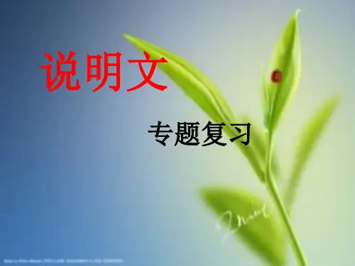 精品获奖公开课说明文专题复习分享资料
