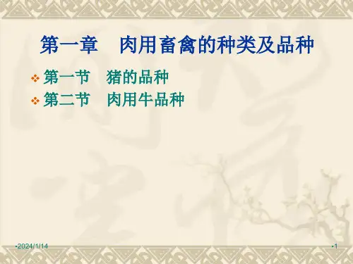 肉的理化性质幻灯片