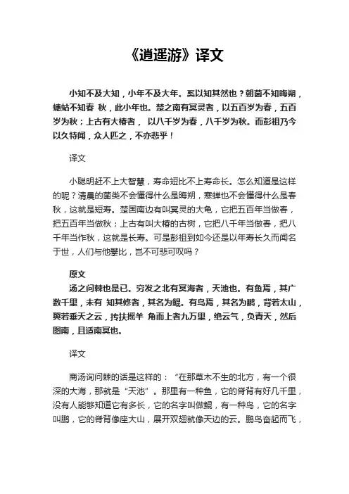 《逍遥游》译文