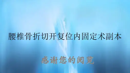 腰椎骨折切开复位内固定术副本