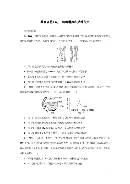 2023新教材高考生物二轮专题复习 整合训练(五)细胞增殖和受精作用