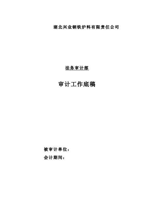 审计工作底稿(DOC 81页)