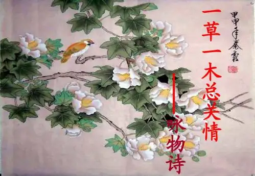 《唐诗宋词鉴赏》《紫蝶黄蜂俱有情——咏物抒怀》课件