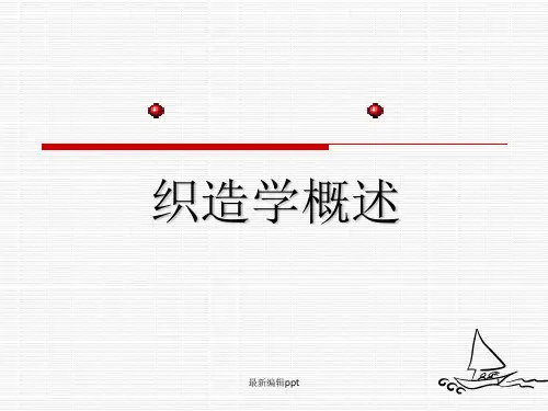 织造工艺过程