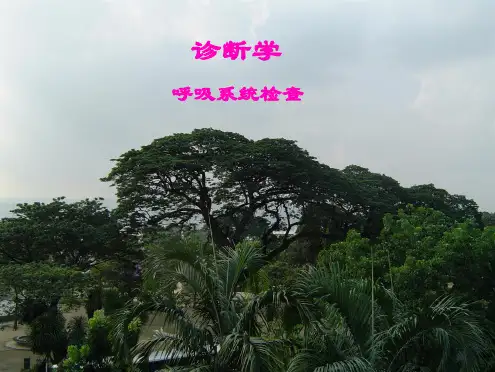 呼吸系统(精品)课件