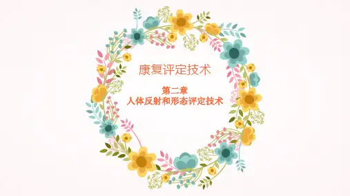 第二章人体反射和形态评定技术