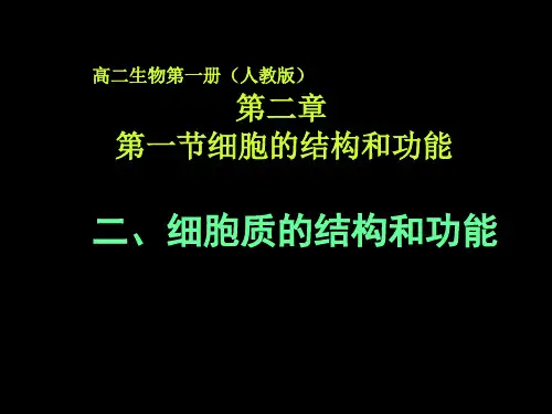 细胞质的结构和功能PPT课件