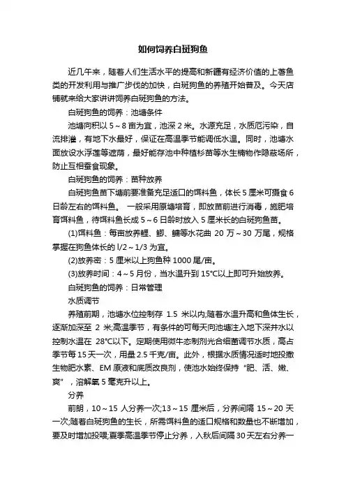 如何饲养白斑狗鱼