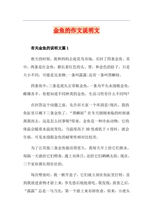 金鱼的作文说明文