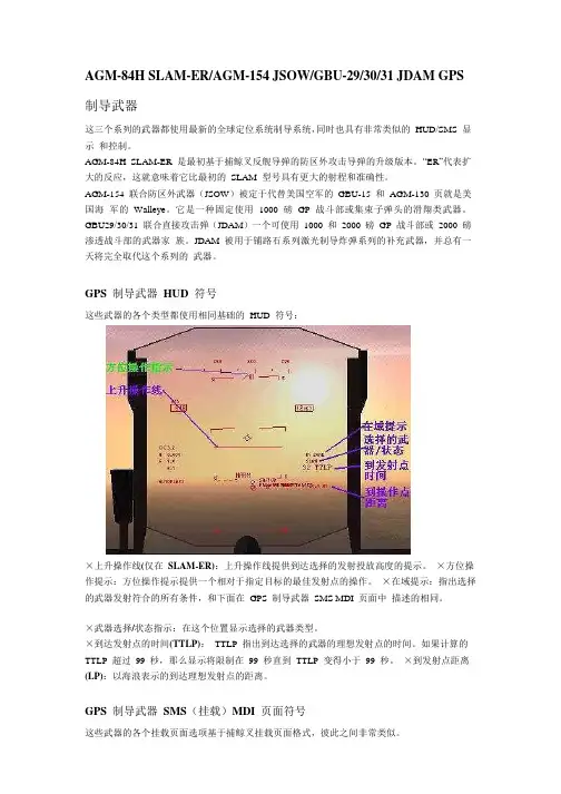 F18 大黄蜂 战斗机 中文手册 GPS制导