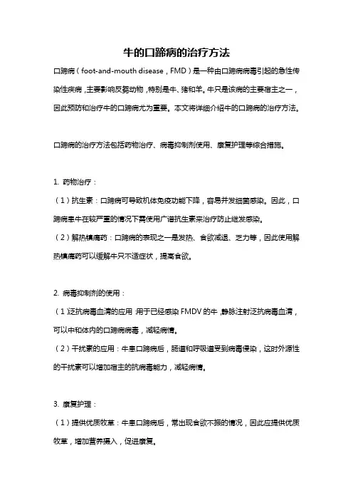 牛的口蹄病的治疗方法