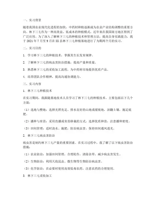 林下三七实习报告