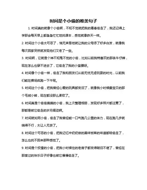 时间是个小偷的唯美句子