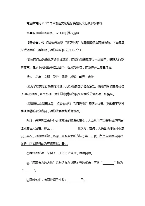 2012年中考语文真题分类精编(14)标点符号、汉语知识(含答案)