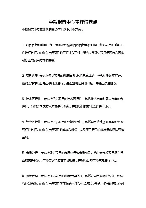 中期报告中专家评估要点