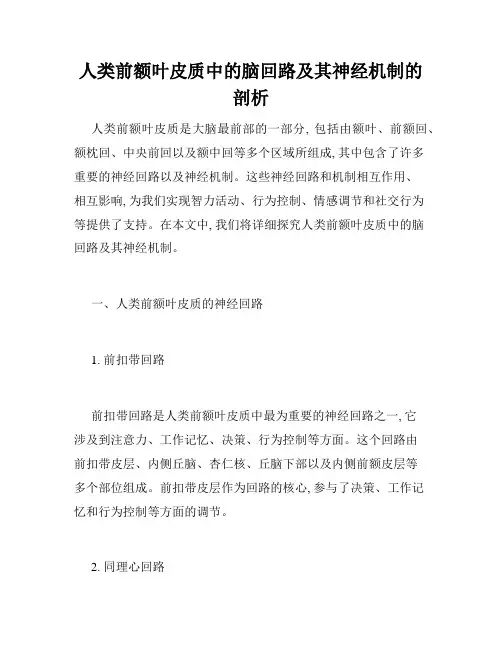 人类前额叶皮质中的脑回路及其神经机制的剖析
