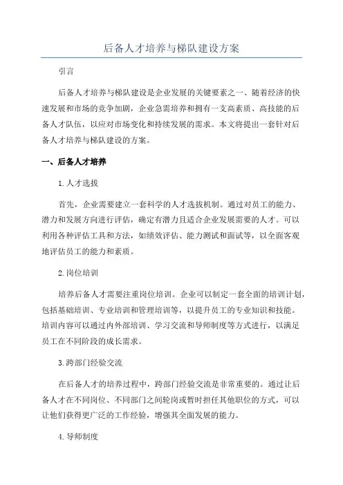 后备人才培养与梯队建设方案