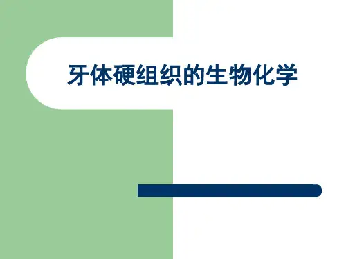牙体硬组织的生物化学