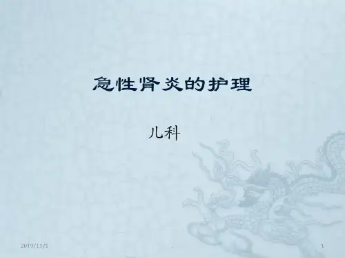 急性肾炎的护理PPT课件【26页】