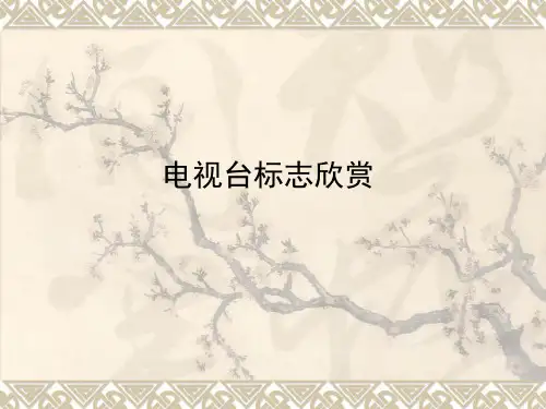 电视台标志欣赏.pptx