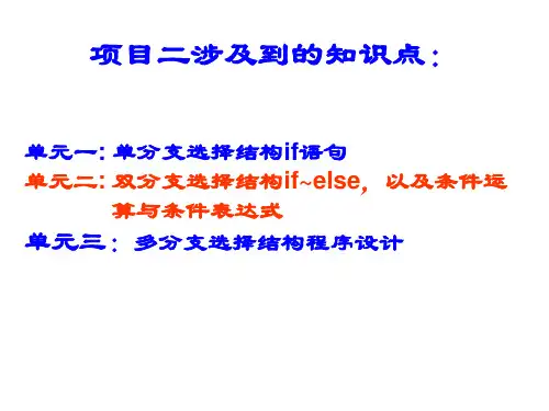 8-双分支选择结构程序设计