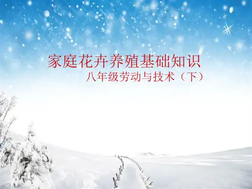 花卉养植技术劳动技术PPT课件