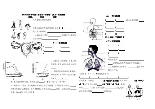 初一生物学下册总复习专题 识图图例