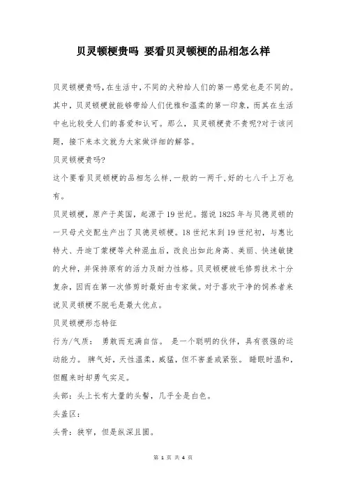 贝灵顿梗贵吗 要看贝灵顿梗的品相怎么样