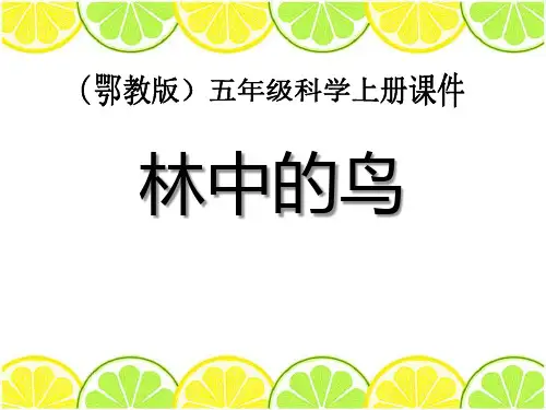 《林中的鸟》走进树林PPT课件