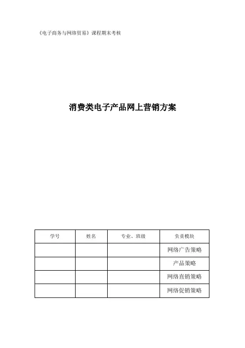 消费类电子产品网上营销方案