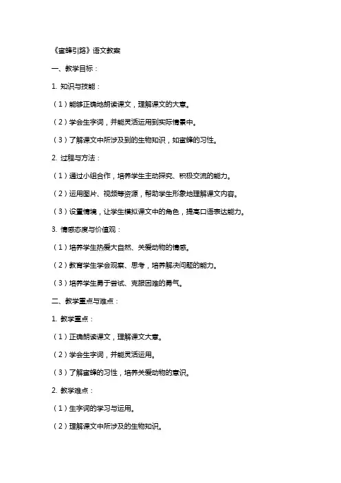 《蜜蜂引路》语文教案