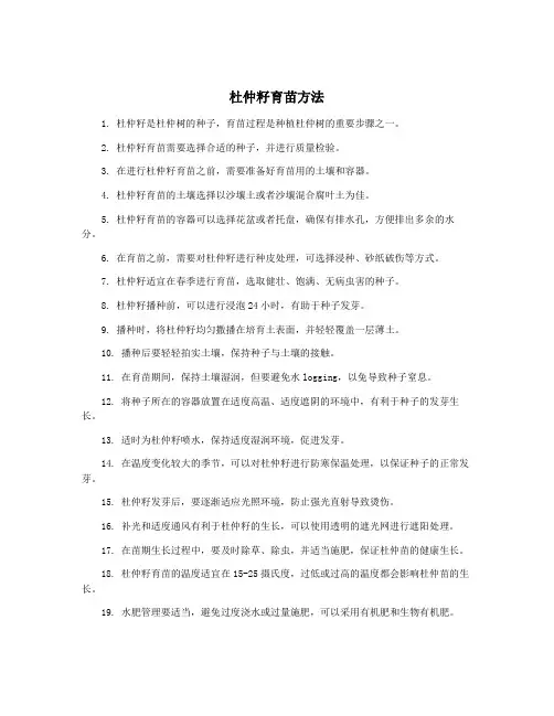杜仲籽育苗方法