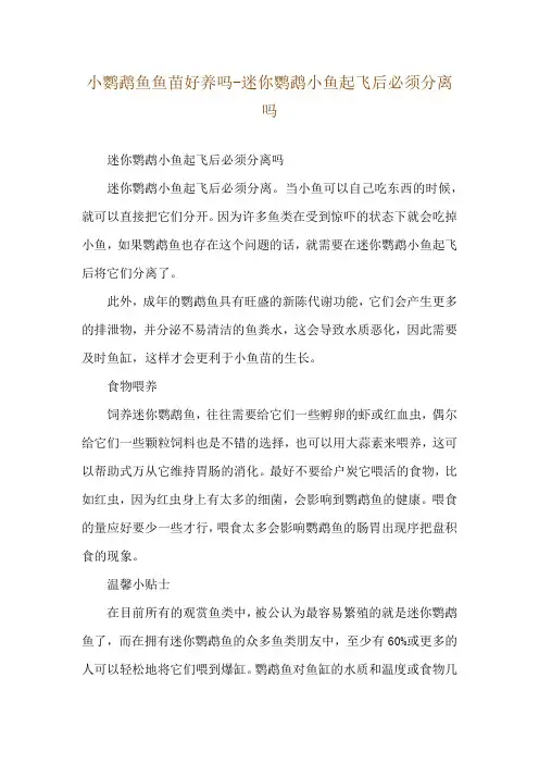小鹦鹉鱼鱼苗好养吗-迷你鹦鹉小鱼起飞后必须分离吗