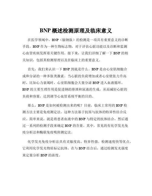 BNP概述检测原理及临床意义