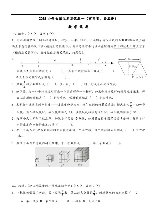 2018年度小学升初考试数学试题及其规范标准答案解析[共3套]