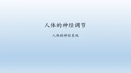 苏科版八年级生物上册：1 人体的神经调节  课件