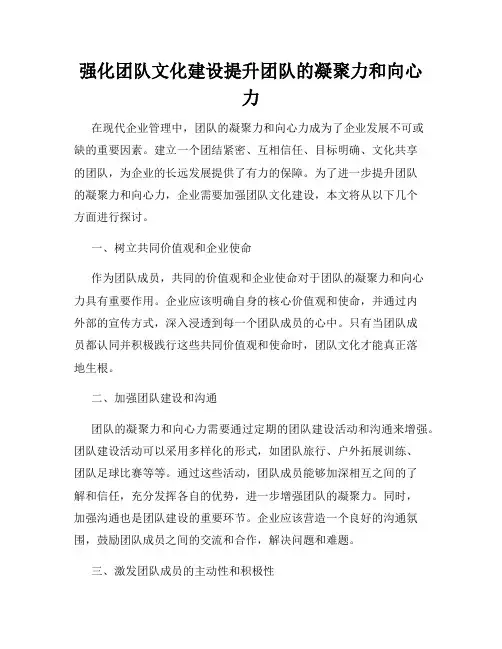 强化团队文化建设提升团队的凝聚力和向心力