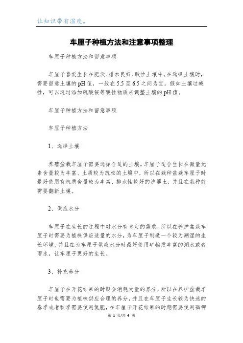 车厘子种植方法和注意事项整理