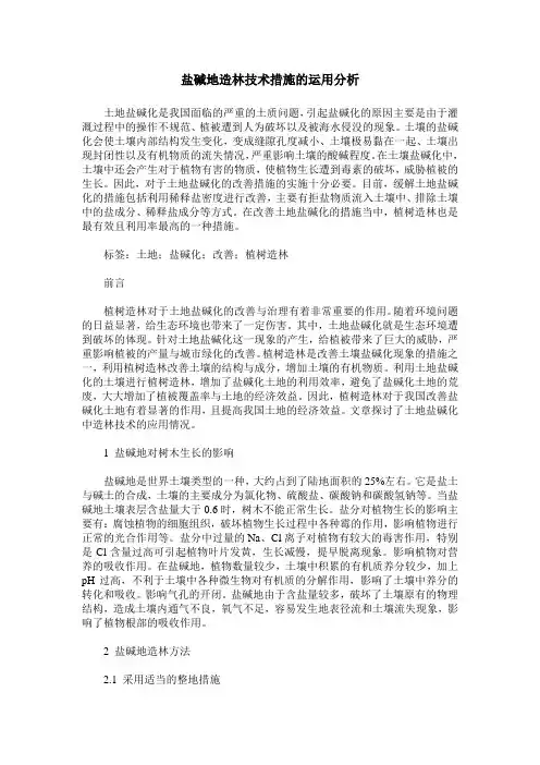 盐碱地造林技术措施的运用分析