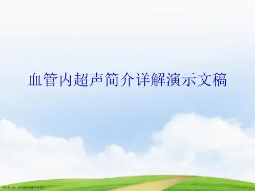 血管内超声简介详解演示文稿