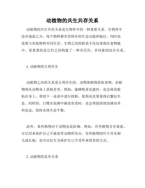 动植物的共生共存关系