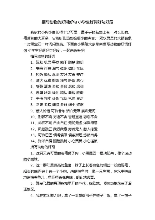 描写动物的好词好句小学生好词好句好段