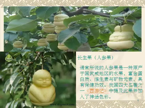 我的长生果完美版ppt课件