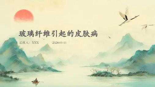 玻璃纤维引起的皮肤病病症PPT演示课件